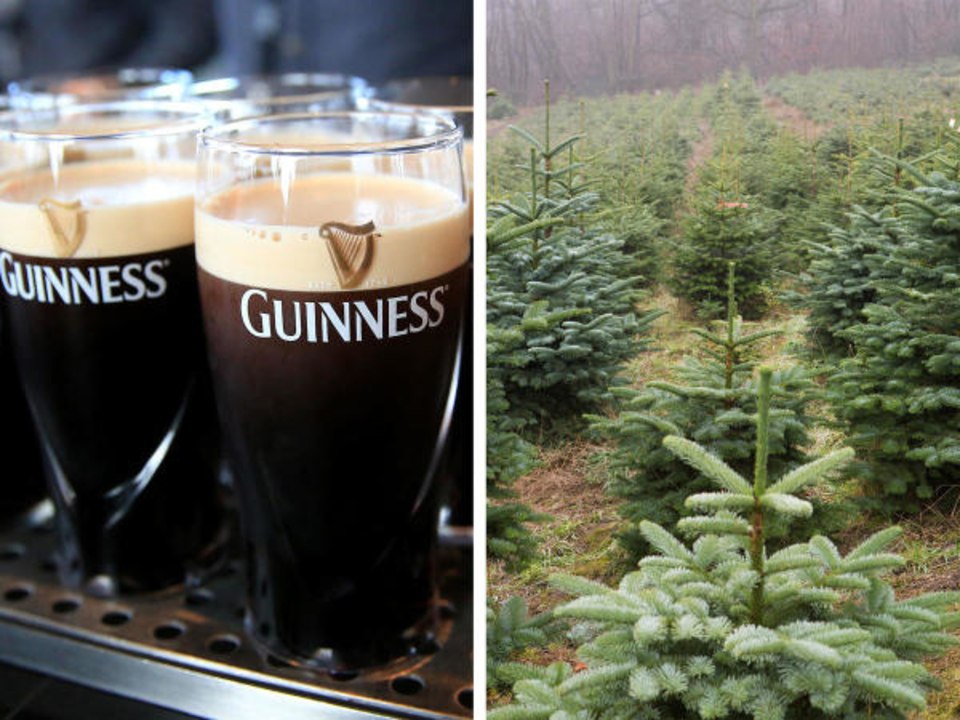 Kegs of Unused Guinness Are Getting a Surprising Makeover... into Fertilizer for Christmas