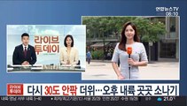 [날씨] 다시 30도 안팎 더위…오후 내륙 곳곳 소나기