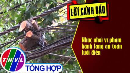Nhức nhối vi phạm hành lang an toàn lưới điện