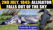 July 2nd, 1843: An alligator believed to have fallen out of the sky and other stories |Oneindia News