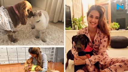 Aww! Disha Patani gives manicure to her dog Goku in this adorable video