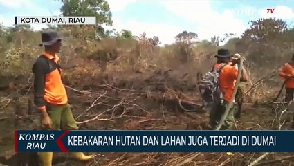 Kebakaran Hutan Dan Lahan Juga Terjadi Di Dumai