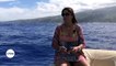 Polynésie Française : Le chant des baleines
