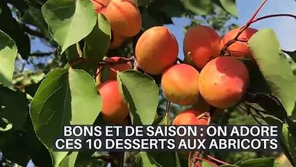BONS ET DE SAISON : ON ADORE CES 10 DESSERTS AUX ABRICOTS
