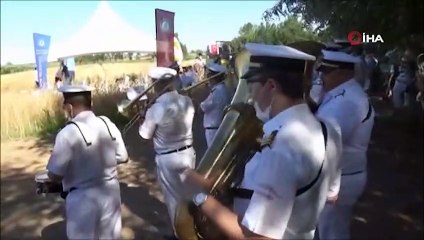 Edirne'de bando eşliğinde güle oynaya buğday hasadı