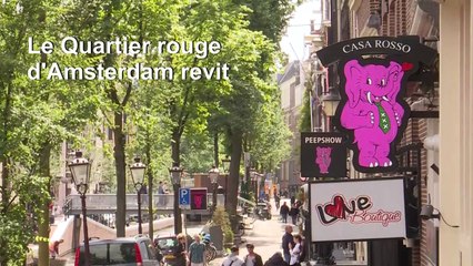 A Amsterdam, timide retour à la normale dans le Quartier rouge