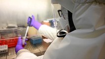 La pandemia del coronavirus marca récord con 218.000 casos en un día