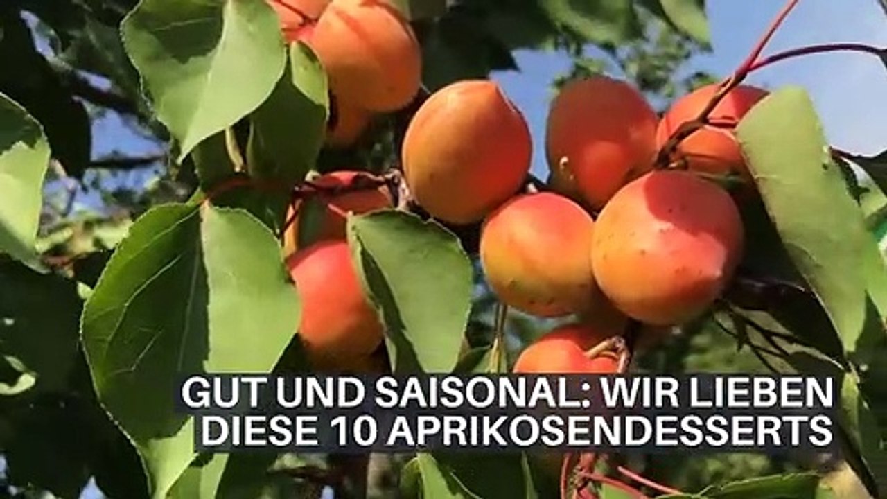 GUT UND SAISONAL: WIR LIEBEN DIESE 10 APRIKOSENDESSERTS.