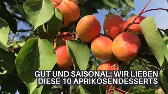 GUT UND SAISONAL: WIR LIEBEN DIESE 10 APRIKOSENDESSERTS.