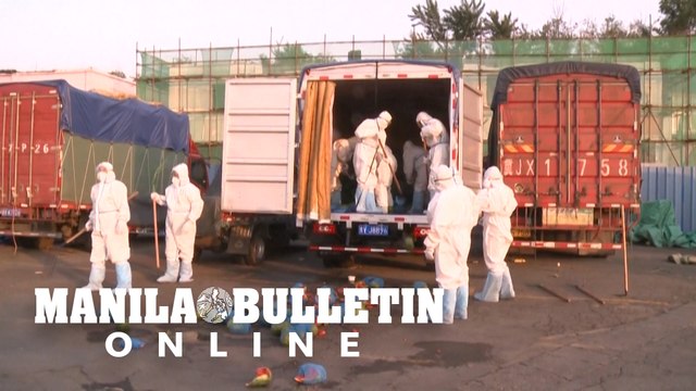 Beijing disinfects virus-linked wholesale food market