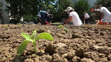 Nilüfer’de beton binaların arasındaki kent bostanı nefes aldıracak