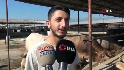 Bursa’da kurbanlıklar pazara indi