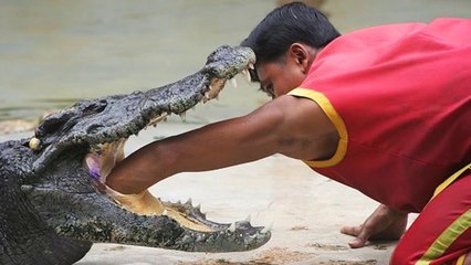 10 Most Dangerous Jobs In The World