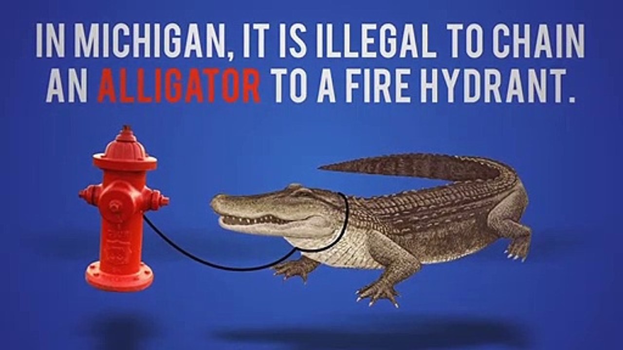 15 Strangest Laws In The World video Dailymotion