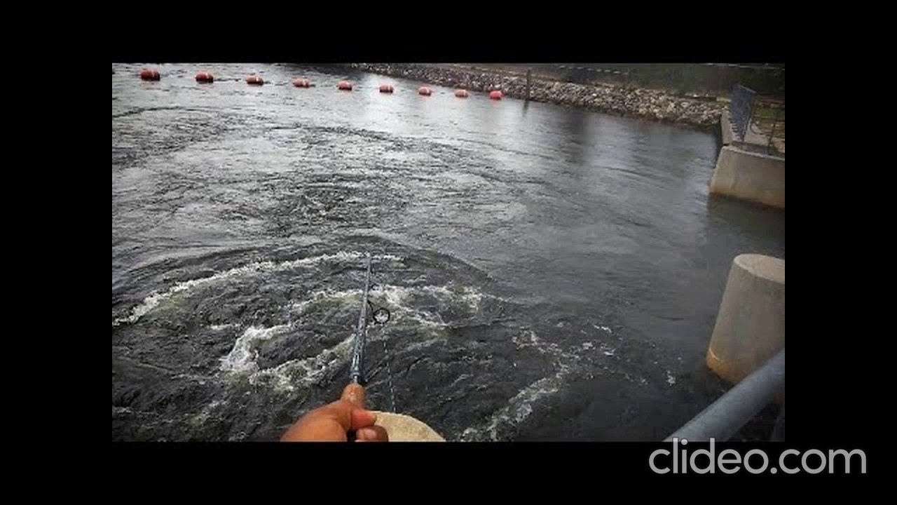 Floodgate Fishing!  What Did I Catch