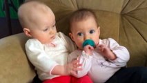 CUTEST SIBLINGS Rivalry and Playing Compilation - TRY NOT TO AWW Challenge!