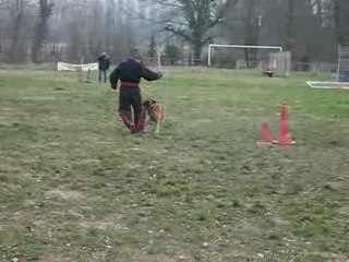 gangsta 4 mois et demi