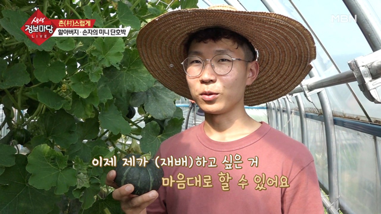 초보 농사꾼의 미니 단호박 농사