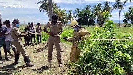 Firefighters rescue dog stuck in 70-foot well for TEN day in southern India