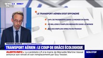 Crise sanitaire, enjeux écologiques: le transport aérien a-t-il encore un avenir?