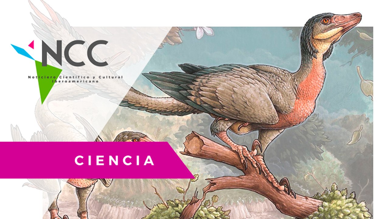 Pa­leon­tó­lo­gos des­cu­bren fó­si­les de un di­no­sau­rio car­ní­vo­ro de 10 me­tros de lar­go