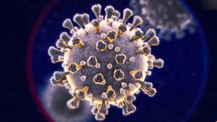 bd-factores-que-inciden-en-aumento-de-casos-020720