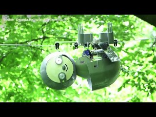 SlothBot - a robotic sloth to monitor endangered species