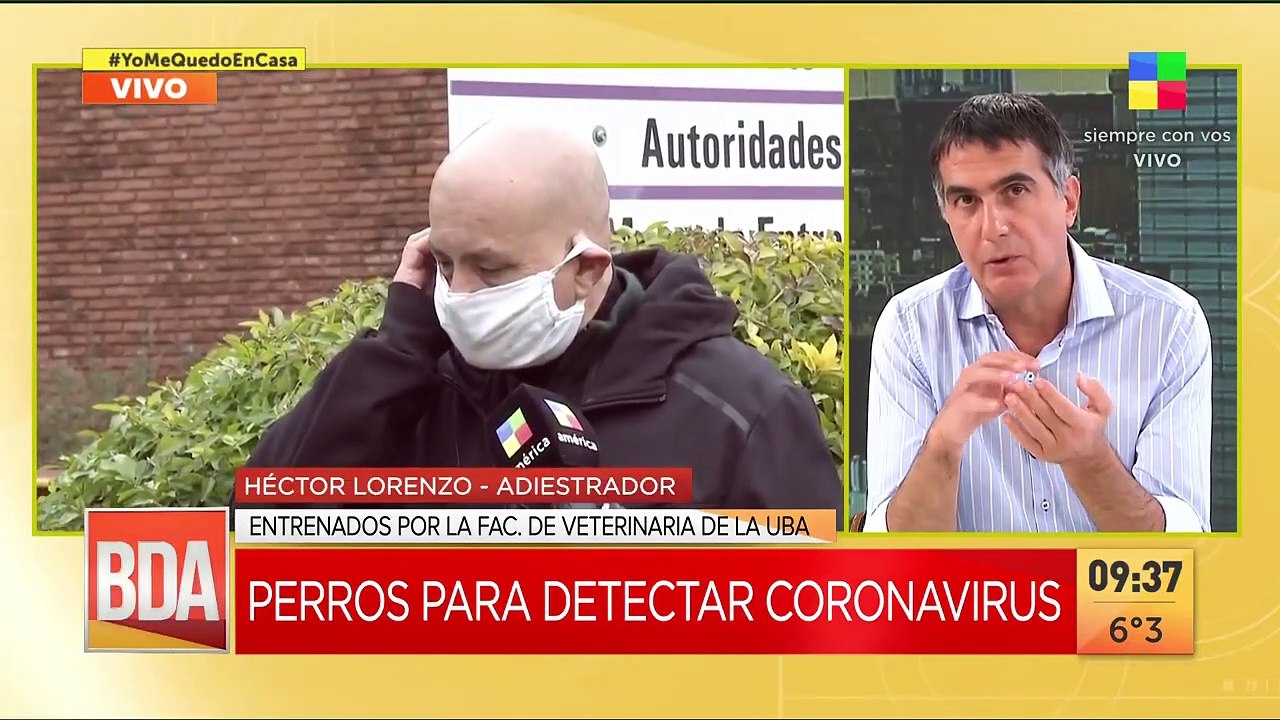 La Facultad de Veterinaria de la UBA entrenará perros para detectar coronavirus