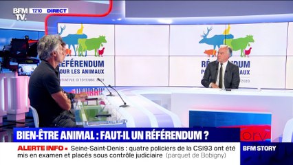 Story 1 : Faut-il un référendum pour le bien-être animal ? - 02/07
