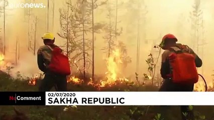 Des incendies ravagent les forêts en Sibérie