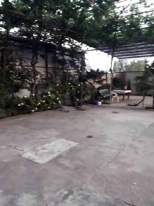 Beautiful Garden 