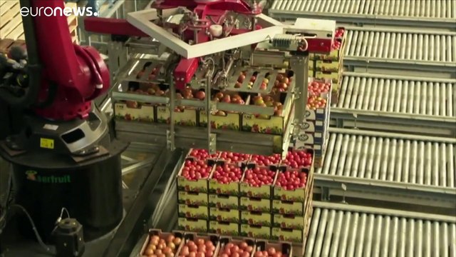 El fraude de los trabajadores indocumentados: sin negros los italianos no podrían sobrevivir