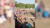 Runner headbutted and trampled at cow race in Indonesia