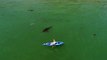 Ce touriste en kayak est suivi par un requin