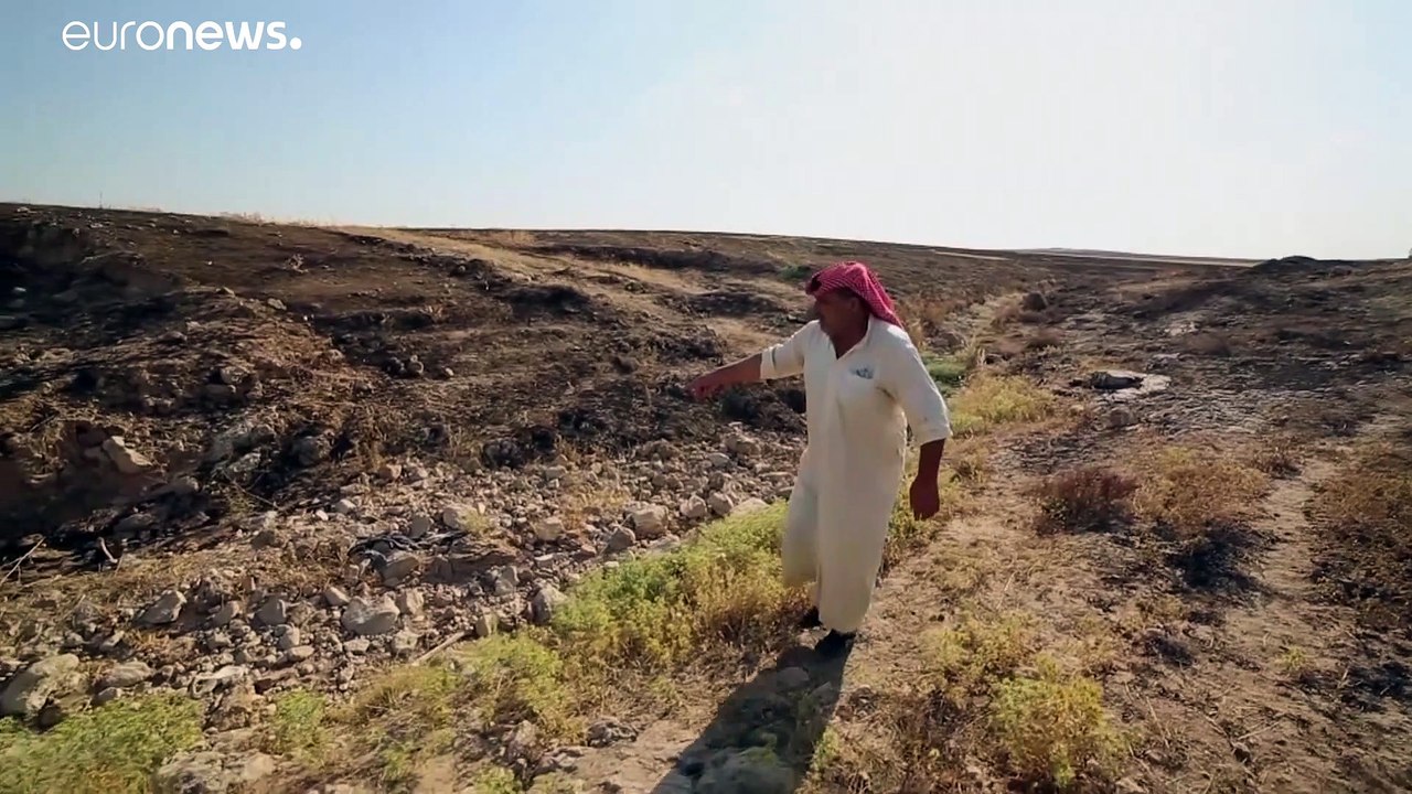 شاهد: اكتشاف مقبرة جماعية جديدة في العراق تعود لفترة حكم "داعش"