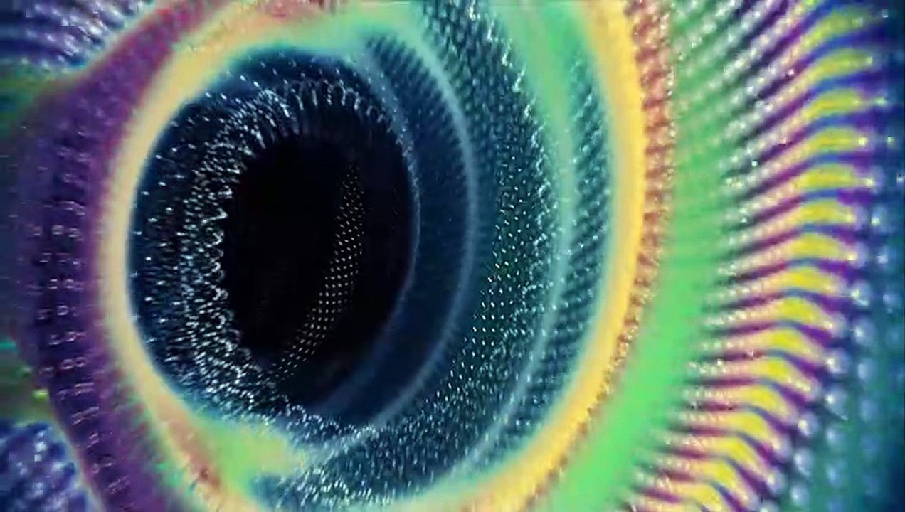 [NO COPYRIGHT ANIMATION] In the Time Machine with Sound Effect