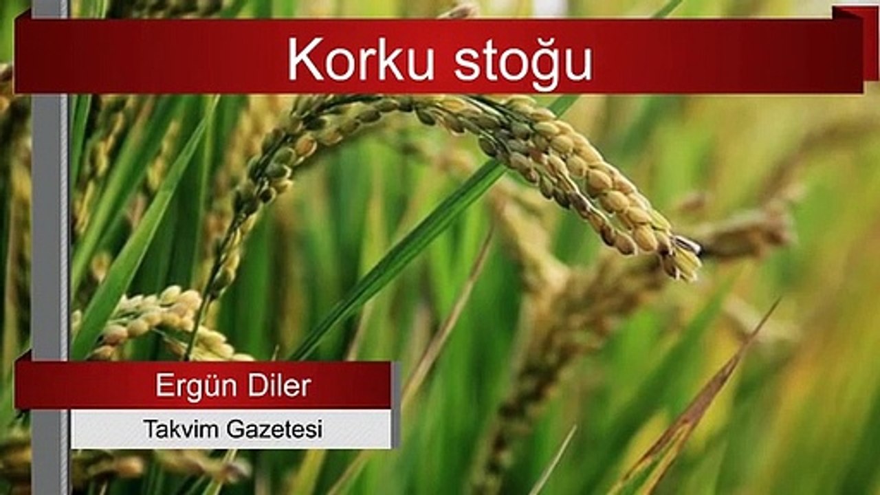 Ergün Diler_e göre yeni hedef tarım alanlarının % 21_ini barındıran Afrika... Sesli Makale