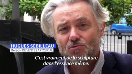 Une oeuvre monumentale de Calder bientôt aux enchères à Paris