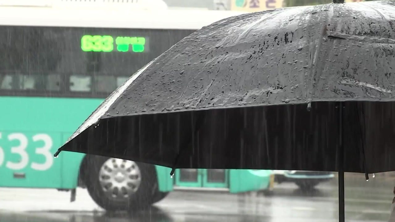 [날씨] 오늘 중북부 더위 속 소나기...남부·제주 장맛비 / YTN