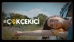 Turkcell Reklam Filmi | #ÇokÇekici