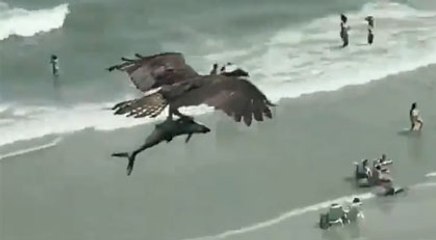 Görenler gözlerine inanamadı