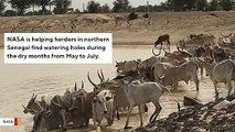 NASA Is Helping Senegalese Herders Find Watering Holes In Barren Landscape