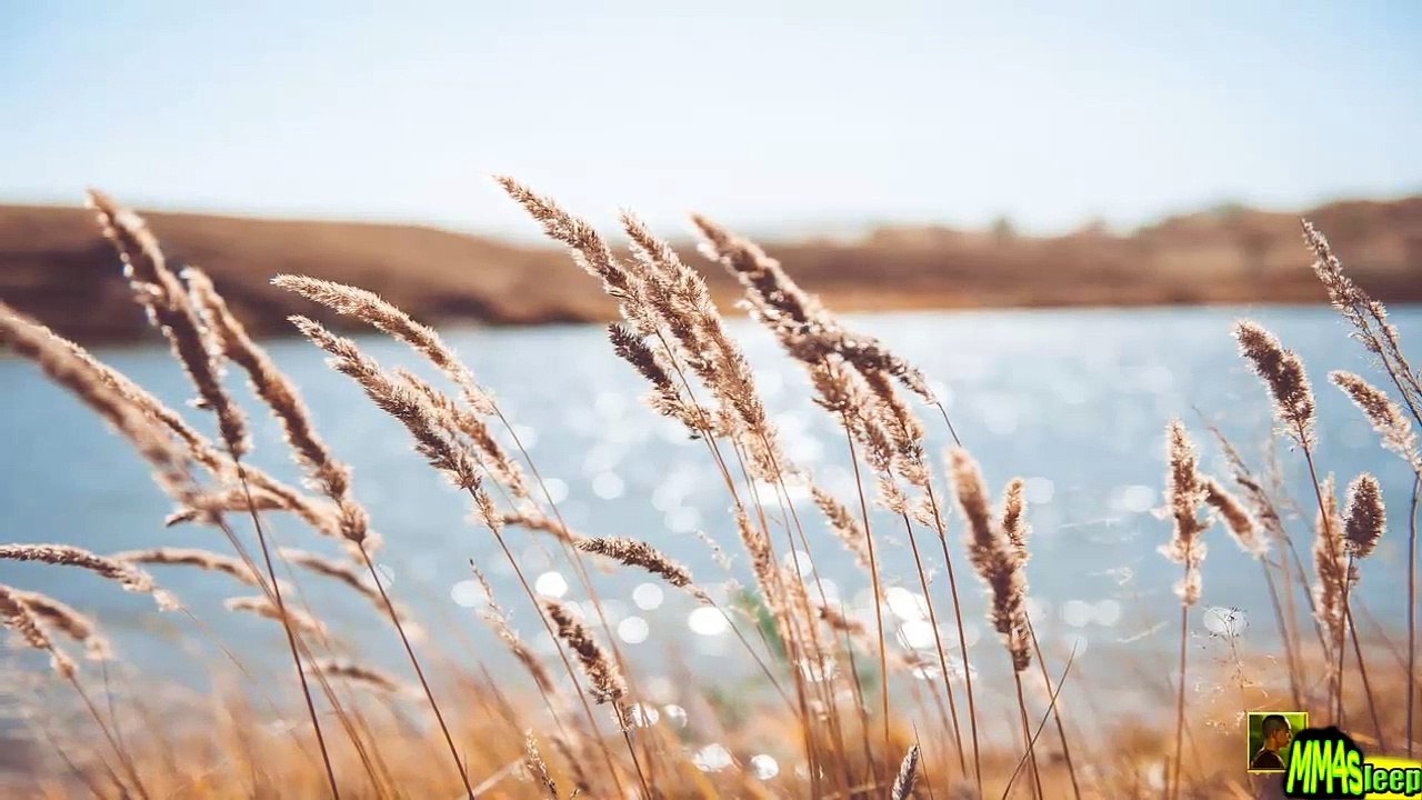 [FREE]Healing MUSIC | Soft SYNTH Background MUSIC N°10| Ambient ELECTRIC Guitar Meditation |173 - Dailymotion