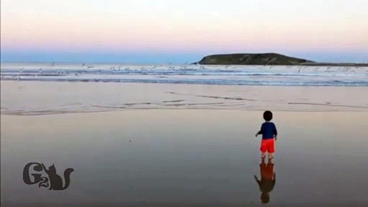 Adorable Toddler Delights in Sunset Run With Seagulls on Stunning Coffs Harbour Beach