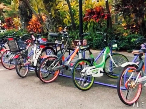 Gardens by the Bay in Singapore 2020- COVID-19 tourism in Singapore- Gardens by the bay in Lock-down