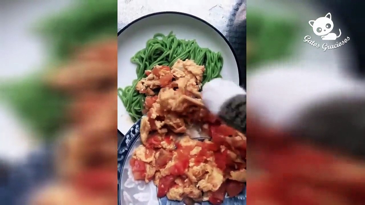 Gatos increíblemente de risa