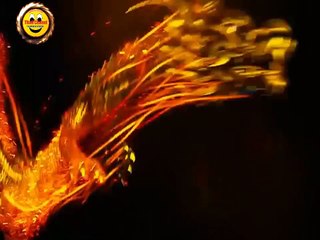 have fun, prank, funny comedy 8