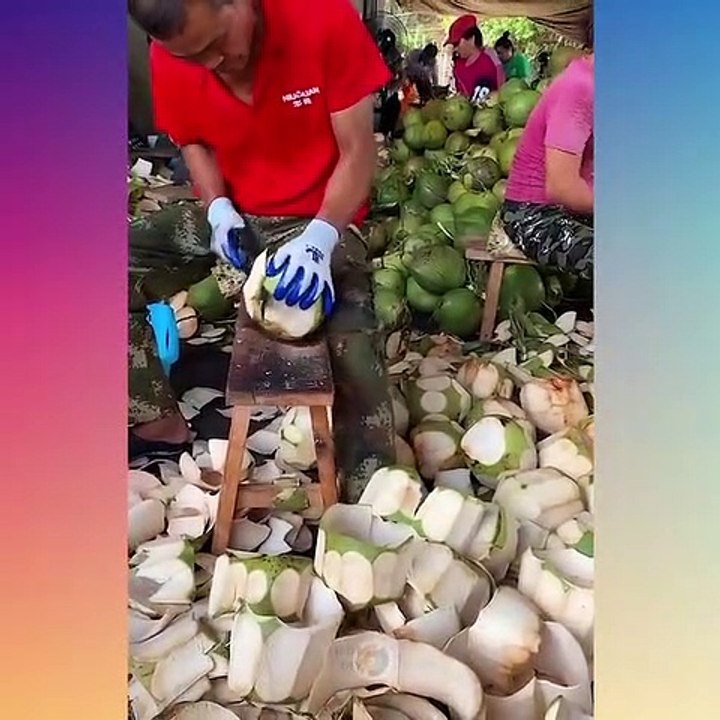 Super Asian Ninja Knife Skills (Oddly Satisfying Knife Skills) P#5