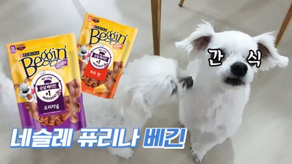 [BUY&EAT] 리얼 베이컨으로 만든 강아지 간식 네슬레 퓨리나 베긴(BEGGIN) 스트립! / 디따