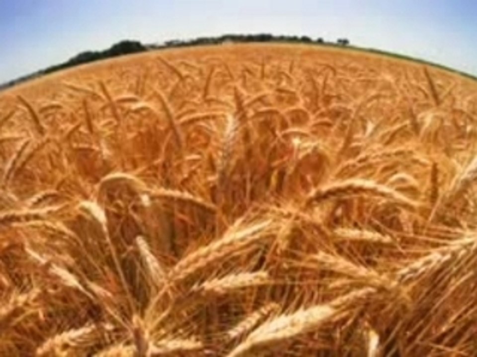 Stoudt's Brewery - American Hops, Episode One